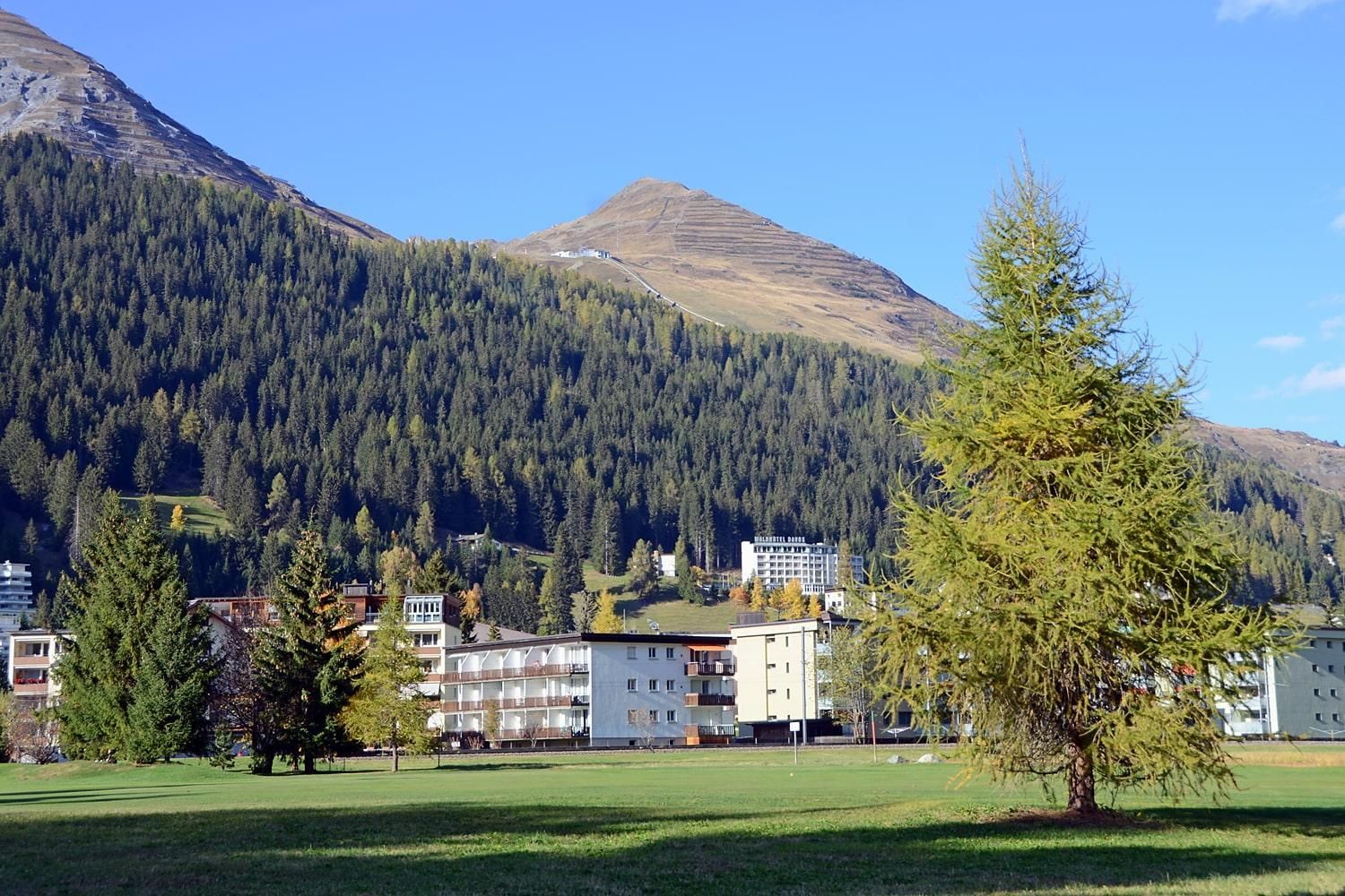 Golfplatz - Haus Green - Bergbahn Parsenn